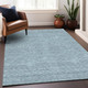 Addison Mayfield AMF910 Teal Rug