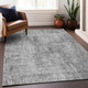 Addison Mayfield AMF912 Silver Rug