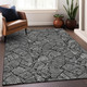 Addison Mayfield AMF913 Black Rug