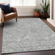 Addison Mayfield AMF913 Gray Rug