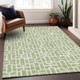 Addison Mayfield AMF916 Aloe Rug