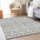 Addison Mayfield AMF920 Gray Rug