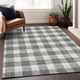 Addison Mayfield AMF923 Gray Rug