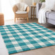 Addison Mayfield AMF923 Teal Rug