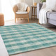 Addison Mayfield AMF924 Teal Rug