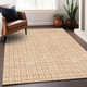 Addison Mayfield AMF925 Peach Rug