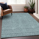 Addison Mayfield AMF926 Teal Rug