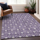 Addison Mayfield AMF931 Purple Rug