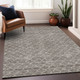 Addison Mayfield AMF933 Taupe Rug