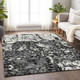 Addison Mayfield AMF946 Black Rug