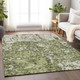 Addison Mayfield AMF946 Olive Rug