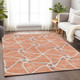 Addison Mayfield AMF948 Salmon Rug