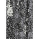 Addison Mayfield AMF949 Black Rug