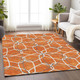 Addison Mayfield AMF950 Orange Rug