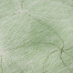 Addison Mayfield AMF968 Mint Rug