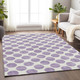 Addison Mayfield AMF980 Lavender Rug