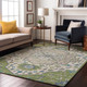 Addison Mayfield AMF985 Aloe Rug