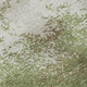 Addison Mayfield AMF1027 Green Rug