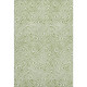Addison Mayfield AMF1030 Aloe Rug