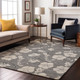 Addison Mayfield AMF1032 Gray Rug