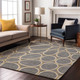Addison Mayfield AMF1041 Gray Rug
