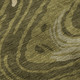 Addison Mayfield AMF1051 Olive Rug