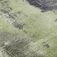 Addison Mayfield AMF1068 Fern Rug