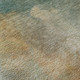 Addison Mayfield AMF1073 Aloe Rug