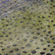 Addison Mayfield AMF1074 Green Rug