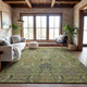 Addison Mayfield AMF1082 Aloe Rug