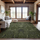 Addison Mayfield AMF1082 Olive Rug