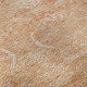 Addison Mayfield AMF1083 Salmon Rug