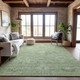 Addison Mayfield AMF1089 Aloe Rug