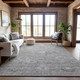 Addison Mayfield AMF1089 Gray Rug