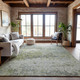 Addison Mayfield AMF1129 Aloe Rug