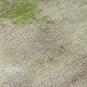 Addison Mayfield AMF1138 Olive Rug