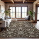 Addison Mayfield AMF1149 Chocolate Rug