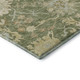 Addison Mayfield AMF1150 Aloe Rug