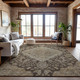 Addison Mayfield AMF1151 Chocolate Rug