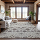 Addison Mayfield AMF1155 Ivory Rug