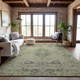 Addison Mayfield AMF1156 Aloe Rug