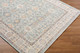 Livabliss Amir AMR-2304 Rug