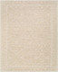 Livabliss Asha NBAS-2300 Rug