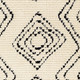 Livabliss Casablanca Shag CAG-2318 Rug