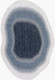 Livabliss Miami Beach MBH-2315 Rug