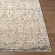 Livabliss Misterio Plus MIP-2301 Rug