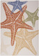 Nourison Aloha ALH28 Ivory Multicolor Rug
