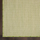 Nourison Courtyard COU01 Ivory Green Rug