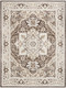 Nourison Dekor DEK08 Brown Ivory Rug
