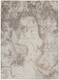Nourison Elation ETN02 Ivory Grey Rug